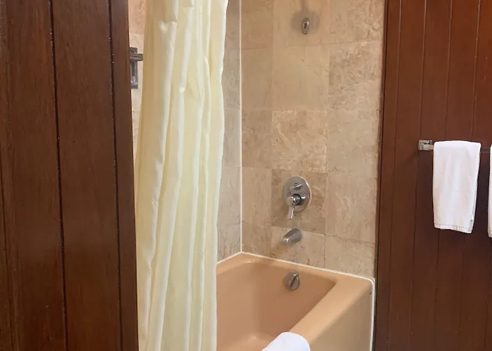 The Manila